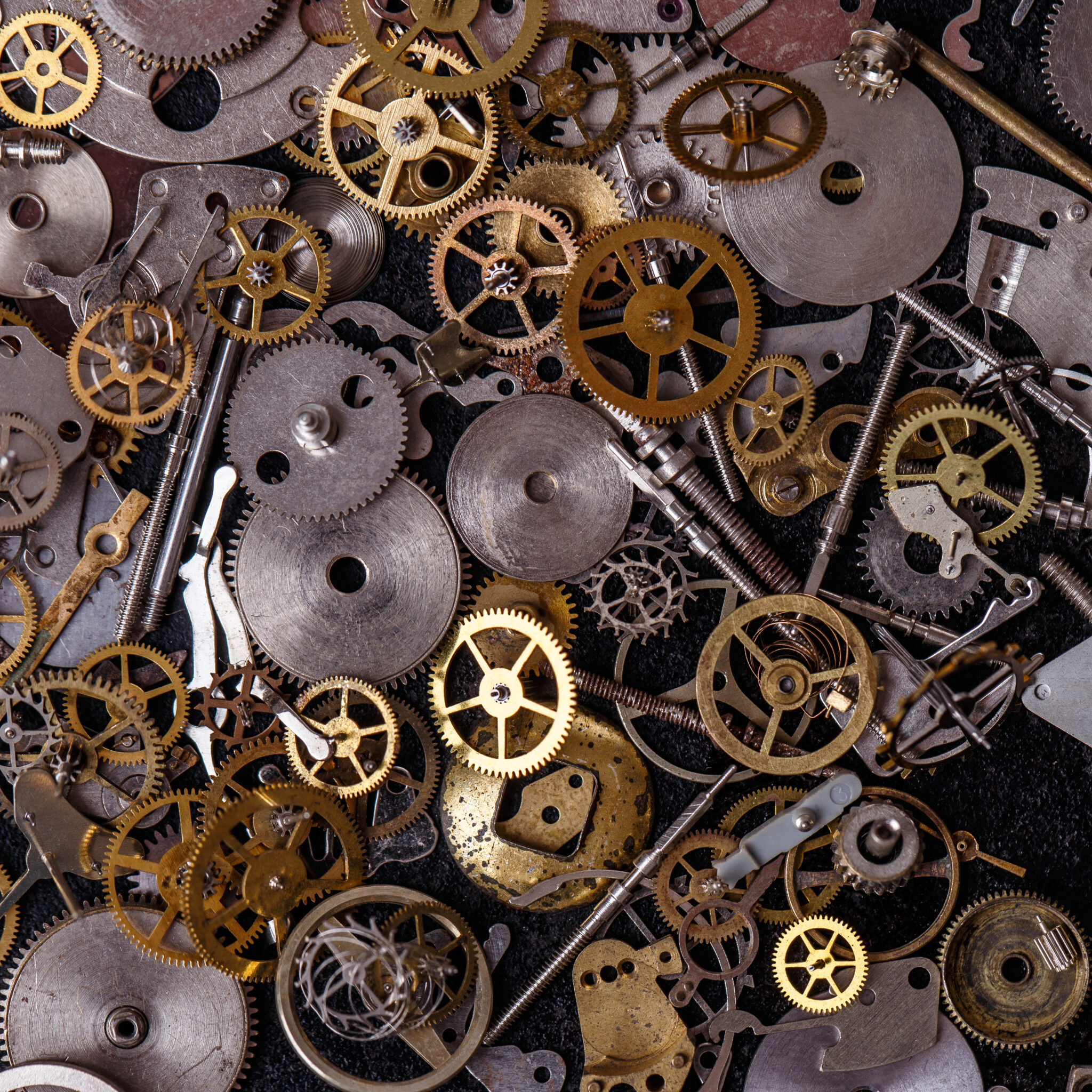 Qué tipos de movimientos existen?